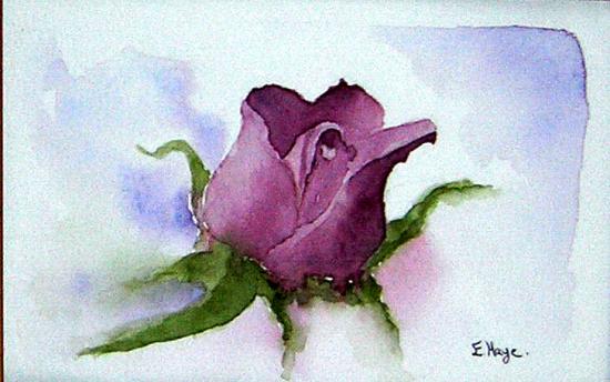 Bouton de rose